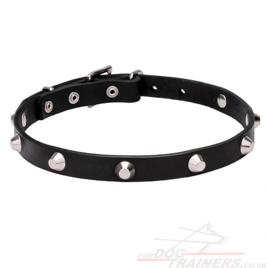 New Designer Dog Collar with Cones - Fine and Strong