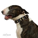 Gold & Black Leather Dog Collar 'Glorious Night' FDT Artisan_7