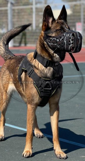 Leather Dog Muzzle UK Exclusive Style Barbed Wire for Agitation