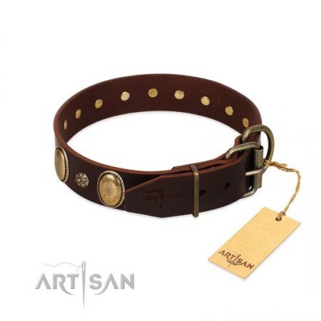"Bronze Idol" Durable Chocolate Brown Leather Dog Collar FDT Artisan