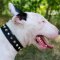 Bull Terrier Collar with Pyramids | Strong Elegant Dog Collar
