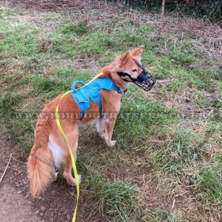 High-Quality Metal Wire Dog Muzzle "For Everyone" For Daily Walks