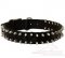 Black Nylon Spiked Dog Collar with Metal Buckle and D Ring