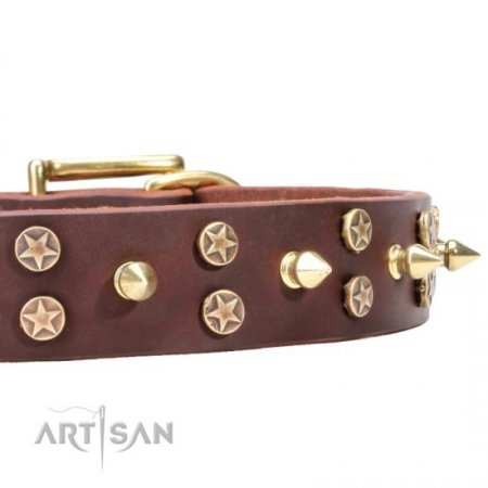 Extra Strong Brown Leather Brass Dog Collar FDT Artisan For Reliable Dog Control