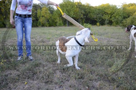 Dog bite tug made of leather 23 inch with 2 handles, UK