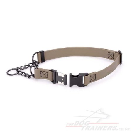 The Best Martingale Collar with Buckle and Chain for Dog Obedience