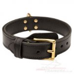 Extra Strong 2 Ply Leather Agitation Dog Collar for Big Dogs