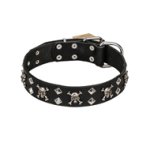 Luxury Leather Dog Collar FDT Artisan with Skulls and Diamonds