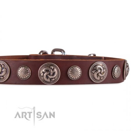 Premium Chocolate Brown Leather Dog Collar With Round Medallions FDT Artisan