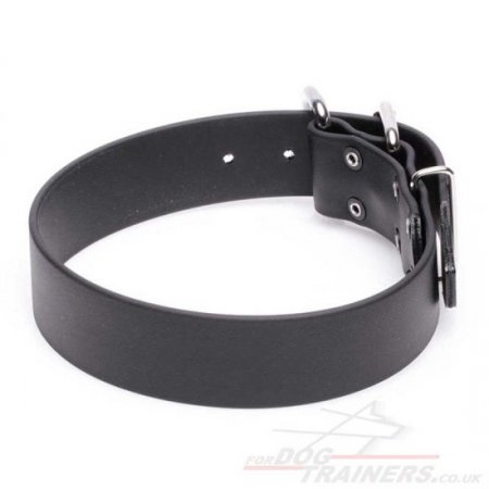 Advanced Biothane Waterproof Dog Collar with Buckle Closure