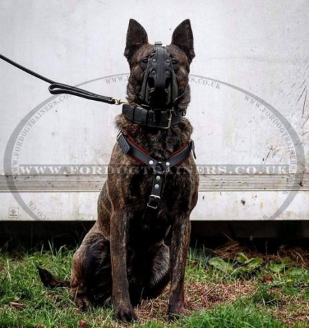 Police K9 Muzzle for Dogs Agitation Training