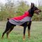 Waterproof Dog Coat for Doberman Walking