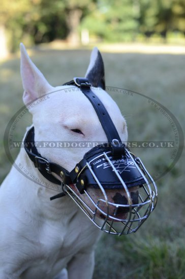 English Bull Terrier Muzzle UK Bestseller for Individual Breed