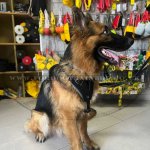K9 Leather Dog Harness for German Shepherd UK Bestseller_2