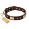 Brown Dog Collar with Brass Finery "Rich Fashion" by FDT Artisan