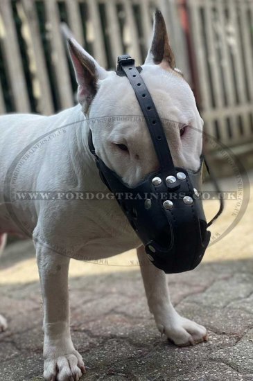 Strong Leather Police Dog Muzzle for K-9 Dogs and Safe Walking