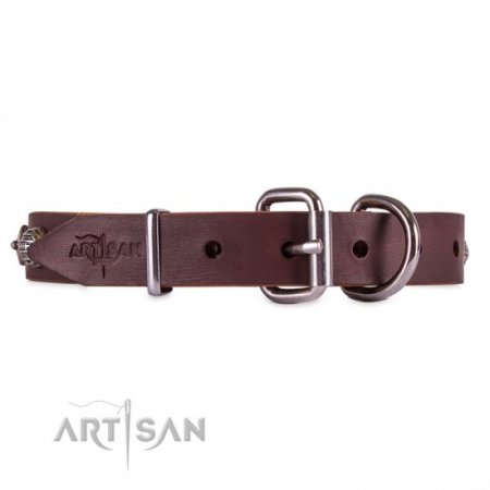 Extravagant Brown Leather Personalised Dog Collar FDT Artisan