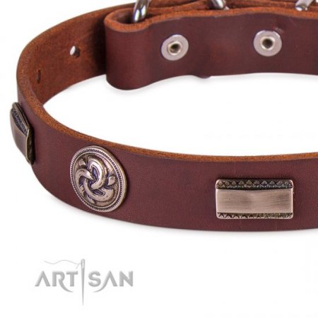 Studded Chocolate Brown Leather Dog Collar For Active Walking