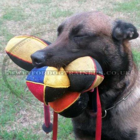 Soft Indestructible Dog Ball with Handle for Small & Middle Dog