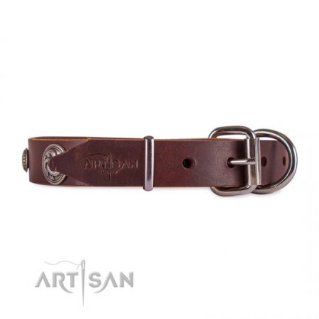 Exclusive Brown Studded Dog Collar FDT Artisan For Active Walking