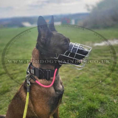Wire Dog Muzzle for Malinois UK Bestseller