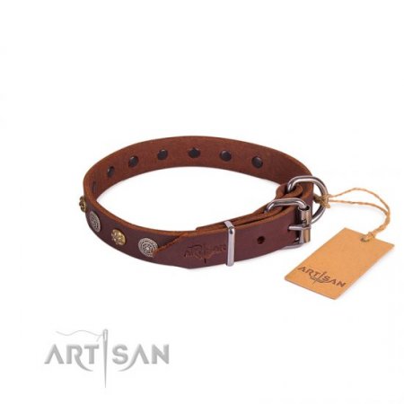 Extraordinary Soft Brown Leather Dog Collar Adorned With Glossy Studs