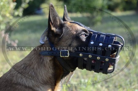 Soft & Light Leather Basket Dog Muzzle for Belgian Malinois