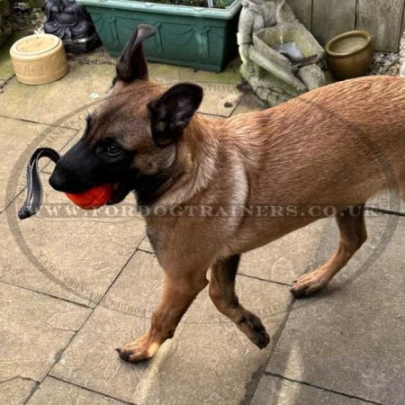 Rugby Ball Shaped Dog Toy with Handle