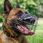 Wire Dog Muzzle for Malinois UK Bestseller