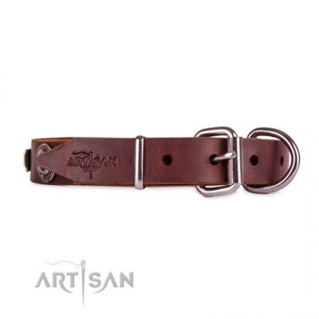 Studded Chocolate Brown Leather Dog Collar For Active Walking