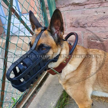 Soft & Light Leather Basket Dog Muzzle for Belgian Malinois