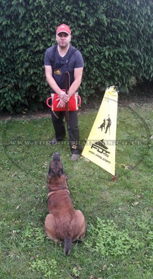 IGP Dog Training Blind Mini-Size