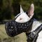 English Bull Terrier Muzzle Hand Painted Leather