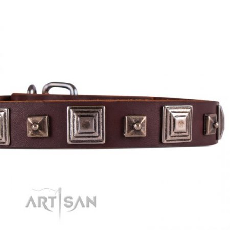 Brown Studded Buckle Dog Collar FDT Artisan For Reliable Control
