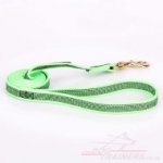 Top-Quality Nylon Training Lead For Dogs Ultramodern Design_0