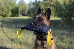 French Linen Dog Bite Tug with 2 Handles_2