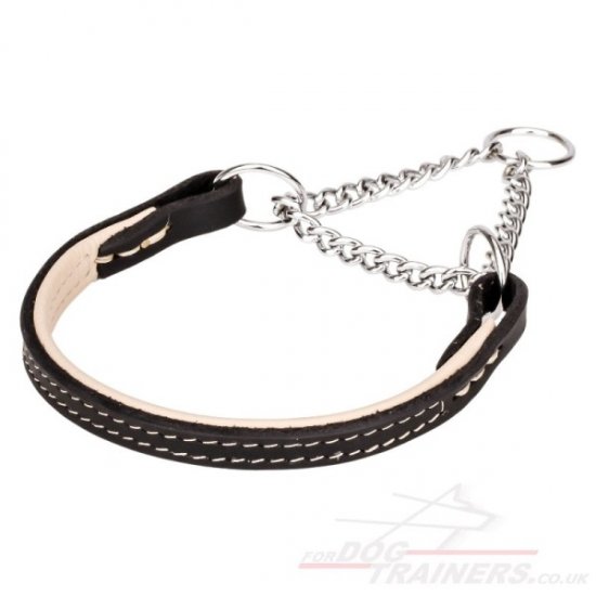 Small Dog Training Collar with Nappa Lining and Martingale Chain