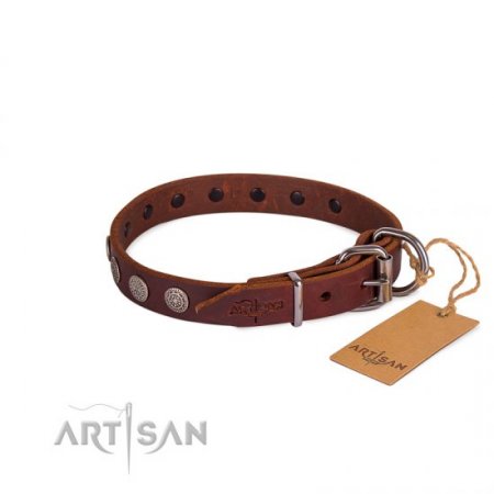 Dark Brown Leather Dog Collar | Exclusive Dog Collar UK FDT Artisan