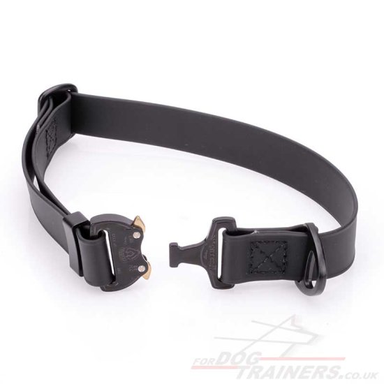 1 Inch Cobra Buckle Dog Collar Biothane