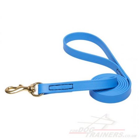 NEW! Bright and Strong Blue Dog Leash Biothane
