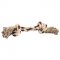 Soft Dog Toy Bone | Large Dog Toy