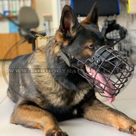 German Shepherd Muzzle Shape with Rubber-Coated Basket