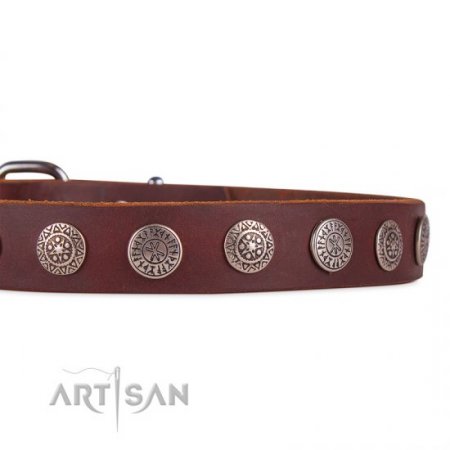 Dark Brown Leather Dog Collar | Exclusive Dog Collar UK FDT Artisan