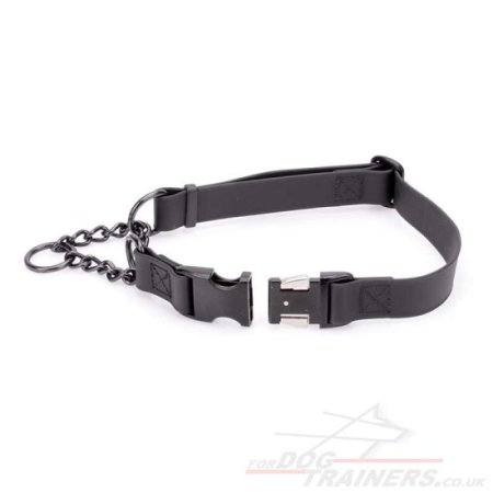 The Best Martingale Collar with Buckle and Chain for Dog Obedience