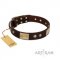 Handmade Brown and Gold Dog Collar for Big Dogs by FDT Artisan