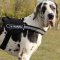 Great Dane Harness for K9 Dogs Training Super Strong Nylon