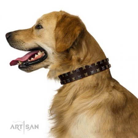 "Fido’s Pleasure" Fantastic Brown Leather Dog Collar With Studs FDT Artisan