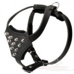 Spiked Designer Dog Harness for Small Dogs