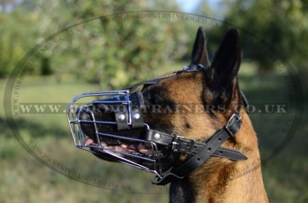 Bestseller Wire Basket Dog Muzzle for Belgian Malinois