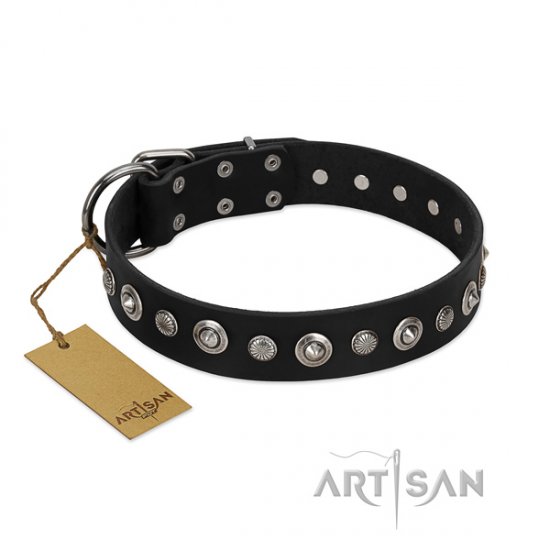 Buy Now D Ring Dog Collar XL Size "Romantic Garden" FDT Artisan